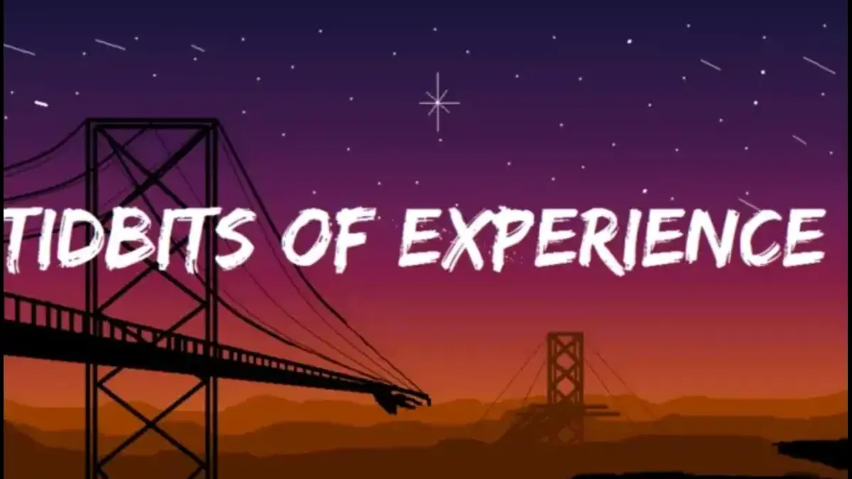 tidbits of experience